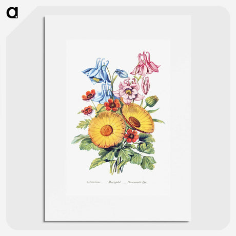 1-8_The-Language-of-Flowers_picture