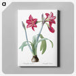 1-8_The-Lilies_canvas