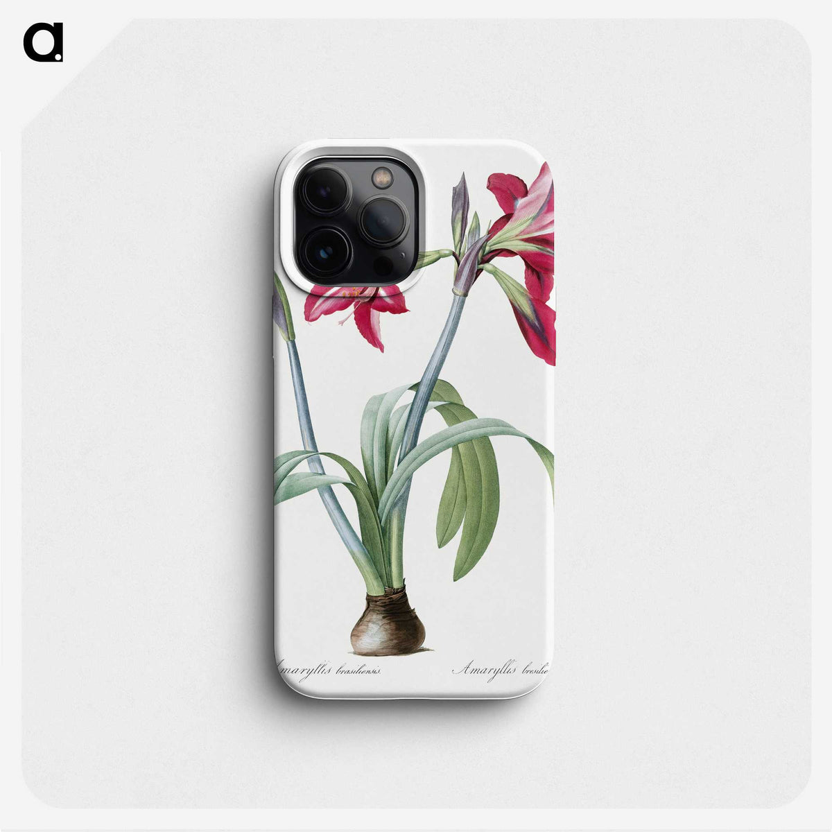 1-8_The-Lilies_phone