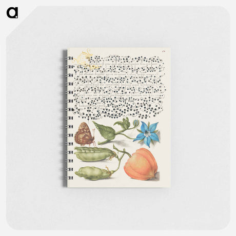 アートメモ帳-Speckled Wood, Talewort, Garden Pea, and Lantern Plant from Mira Calligraphiae Monumenta
 - 書道のお手本 Memo.