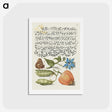 1-8_The-Model-Book-of-Calligraphy_hagaki