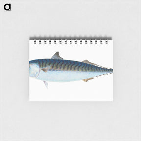 1-8_The-Natural-History-of-British-Fishes_memo