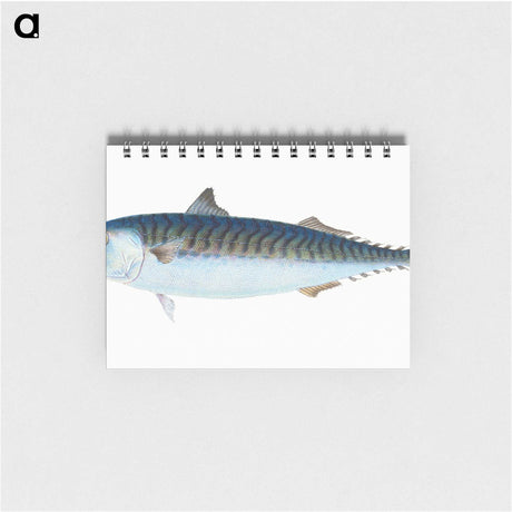 1-8_The-Natural-History-of-British-Fishes_memo
