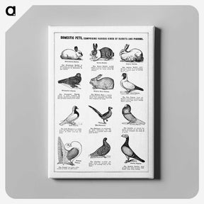 1-8_The-Open-Door-to-Independence_canvas