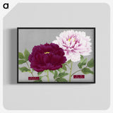 1-8_The-Picture-Book-of-Peonies_blk-crop