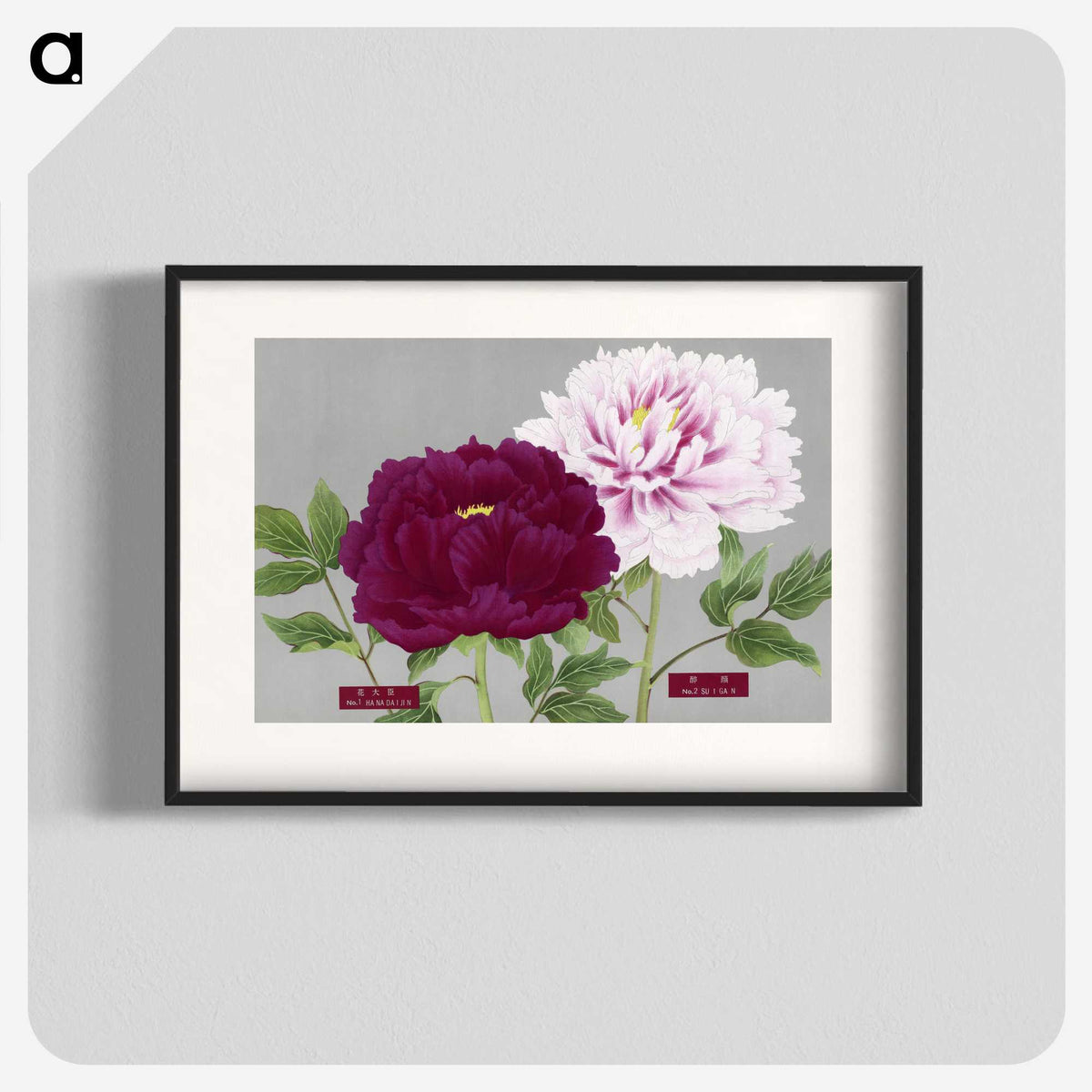 1-8_The-Picture-Book-of-Peonies_blk