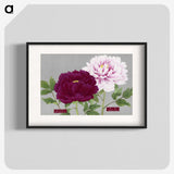 1-8_The-Picture-Book-of-Peonies_blk