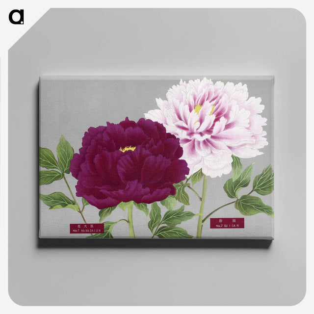 1-8_The-Picture-Book-of-Peonies_canvas