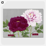 1-8_The-Picture-Book-of-Peonies_picture-crop