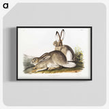 1-8_The-Viviparous-Quadrupeds_blk-crop