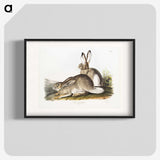 1-8_The-Viviparous-Quadrupeds_blk
