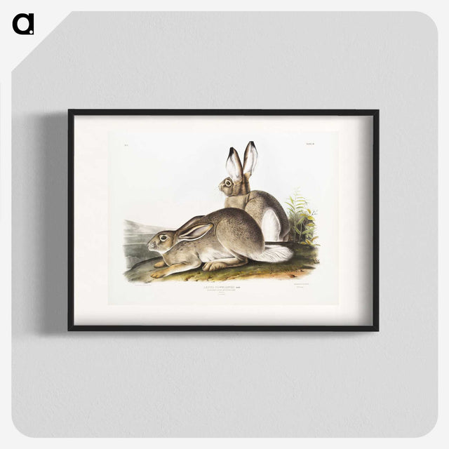 1-8_The-Viviparous-Quadrupeds_blk