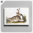 1-8_The-Viviparous-Quadrupeds_canvas