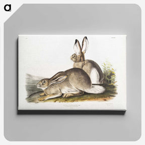1-8_The-Viviparous-Quadrupeds_canvas