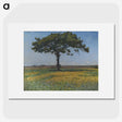 1-8_Thiel-Gallery_picture