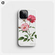 1-8_Treatise-on-Trees-and-Shrubs_phone