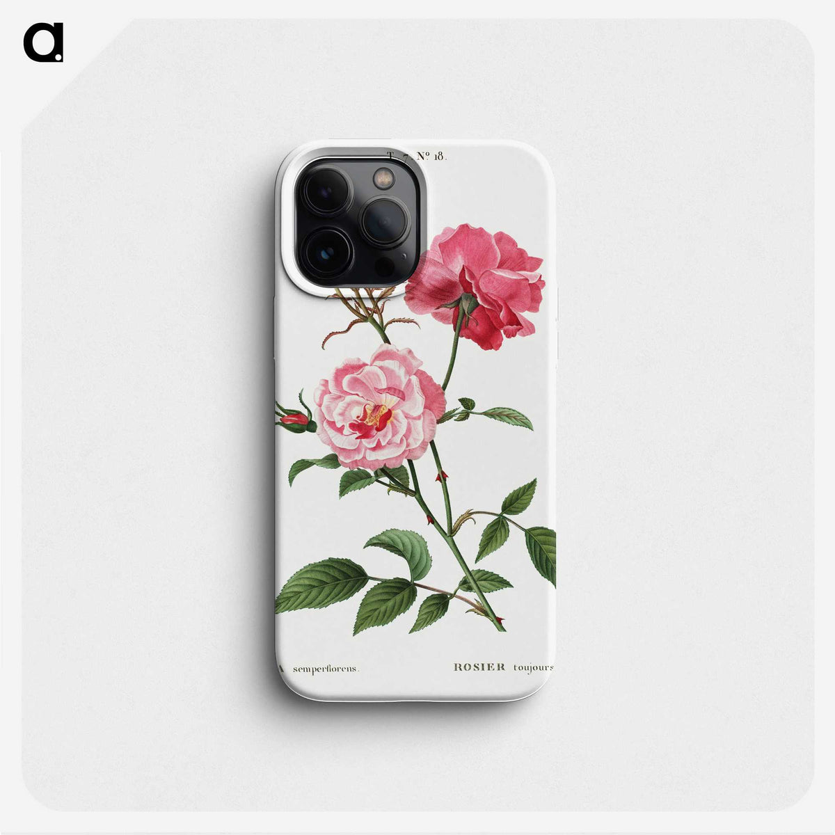 1-8_Treatise-on-Trees-and-Shrubs_phone