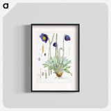 Blue Poppy - ウォルター フッド フィッチ Poster.