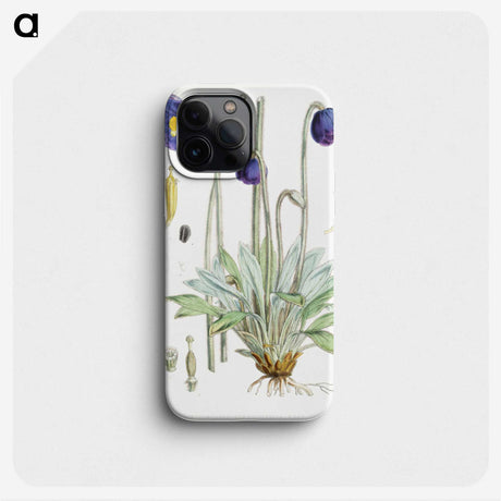 1-8_Walter-Hood-Fitch_phone