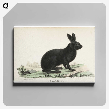 1-8_Wilhelm-von-Wright_canvas