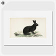 1-8_Wilhelm-von-Wright_picture