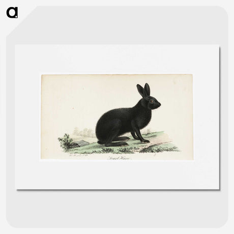 1-8_Wilhelm-von-Wright_picture
