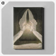 1-8_William-Blake_canvas