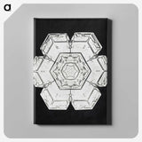 1-8_Wilson-Bentley_canvas
