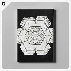 1-8_Wilson-Bentley_canvas
