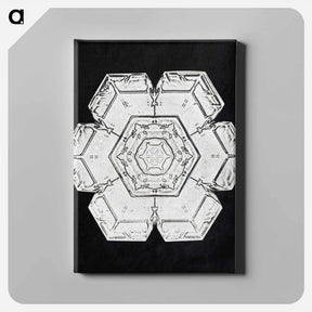 アートパネル-Wilson Bentley's Snowflake 562 - ウィルソン ベントレー Canvas.
