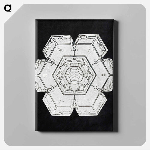 Wilson Bentley's Snowflake 562 - ウィルソン ベントレー Canvas.