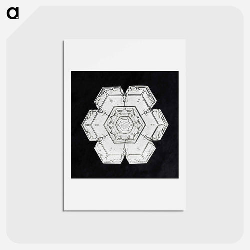 Wilson Bentley's Snowflake 562 - ウィルソン ベントレー Postcard.