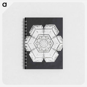 アートメモ帳-Wilson Bentley's Snowflake 562 - ウィルソン ベントレー Memo.