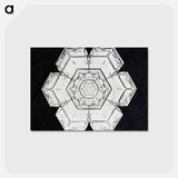 アートポストカード-Wilson Bentley's Snowflake 562 - ウィルソン ベントレー Postcard.