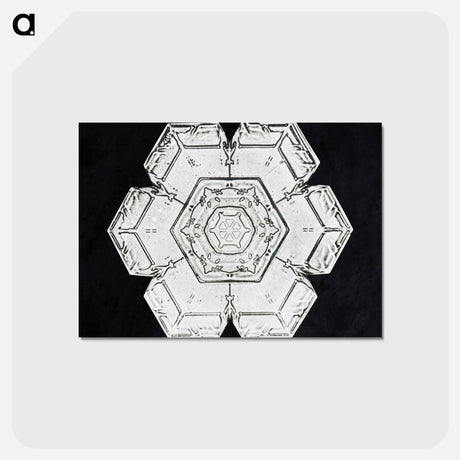 アートポストカード-Wilson Bentley's Snowflake 562 - ウィルソン ベントレー Postcard.