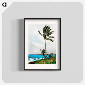 アートポスター-Palm Tree, Nassau - ウィンスロー ホーマー Poster.
