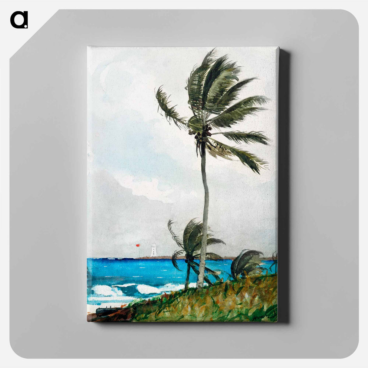 Palm Tree, Nassau - ウィンスロー ホーマー Canvas.