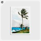 アートポストカード-Palm Tree, Nassau - ウィンスロー ホーマー Postcard.