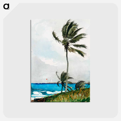 アートポストカード-Palm Tree, Nassau - ウィンスロー ホーマー Postcard.