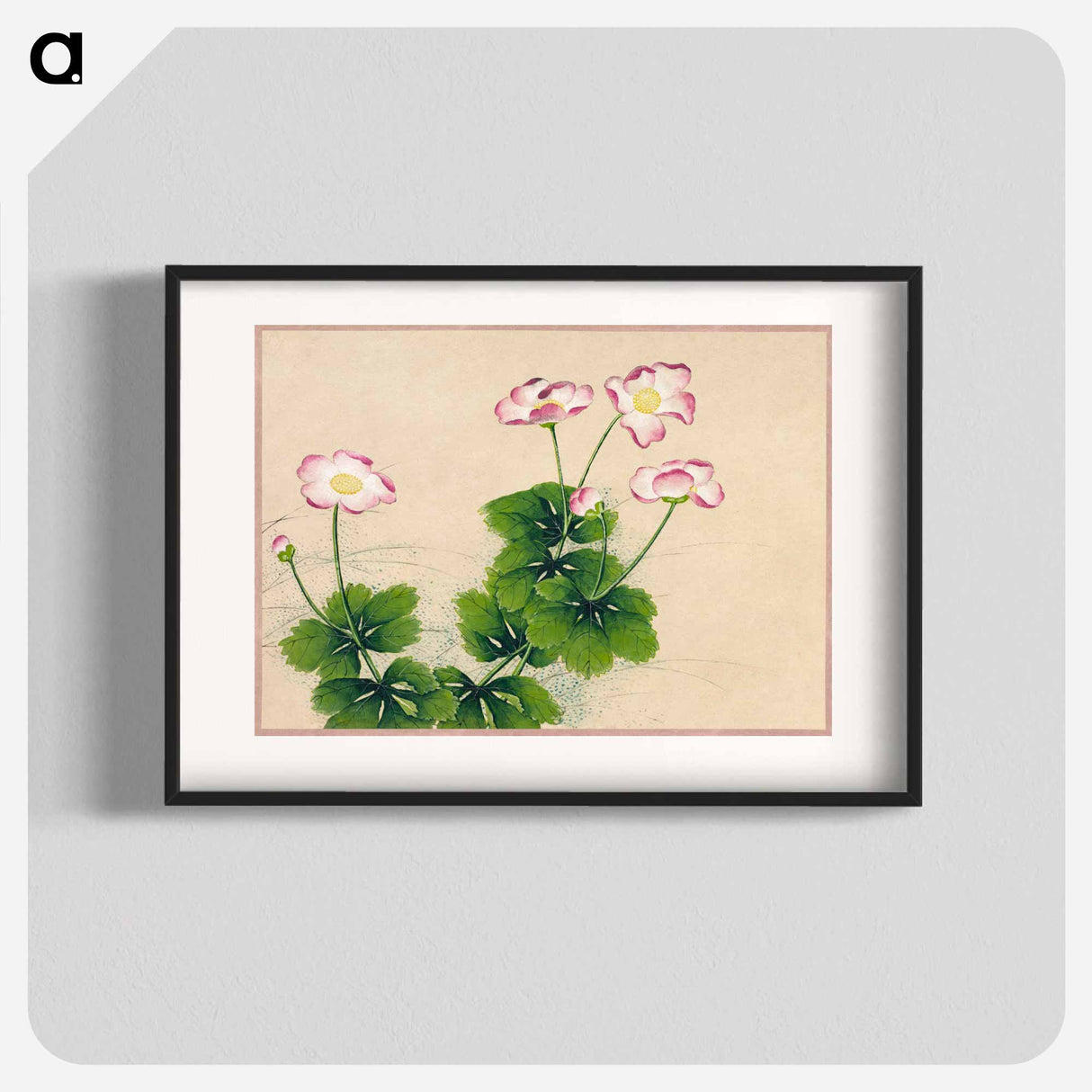 Mallow flowers - 張若愛 Poster.