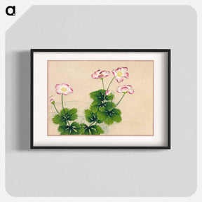アートポスター-Mallow flowers - 張若愛 Poster.