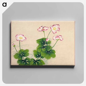 Mallow flowers - Zhang Ruao Canvas.