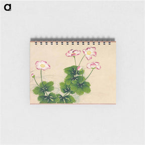 アートメモ帳-Mallow flowers - 張若愛 Memo.