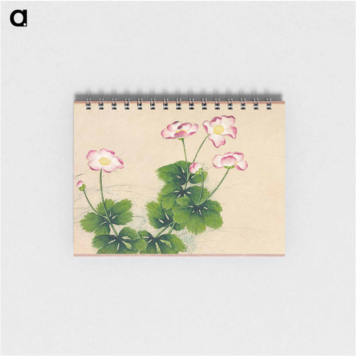 Mallow flowers - 張若愛 Memo.