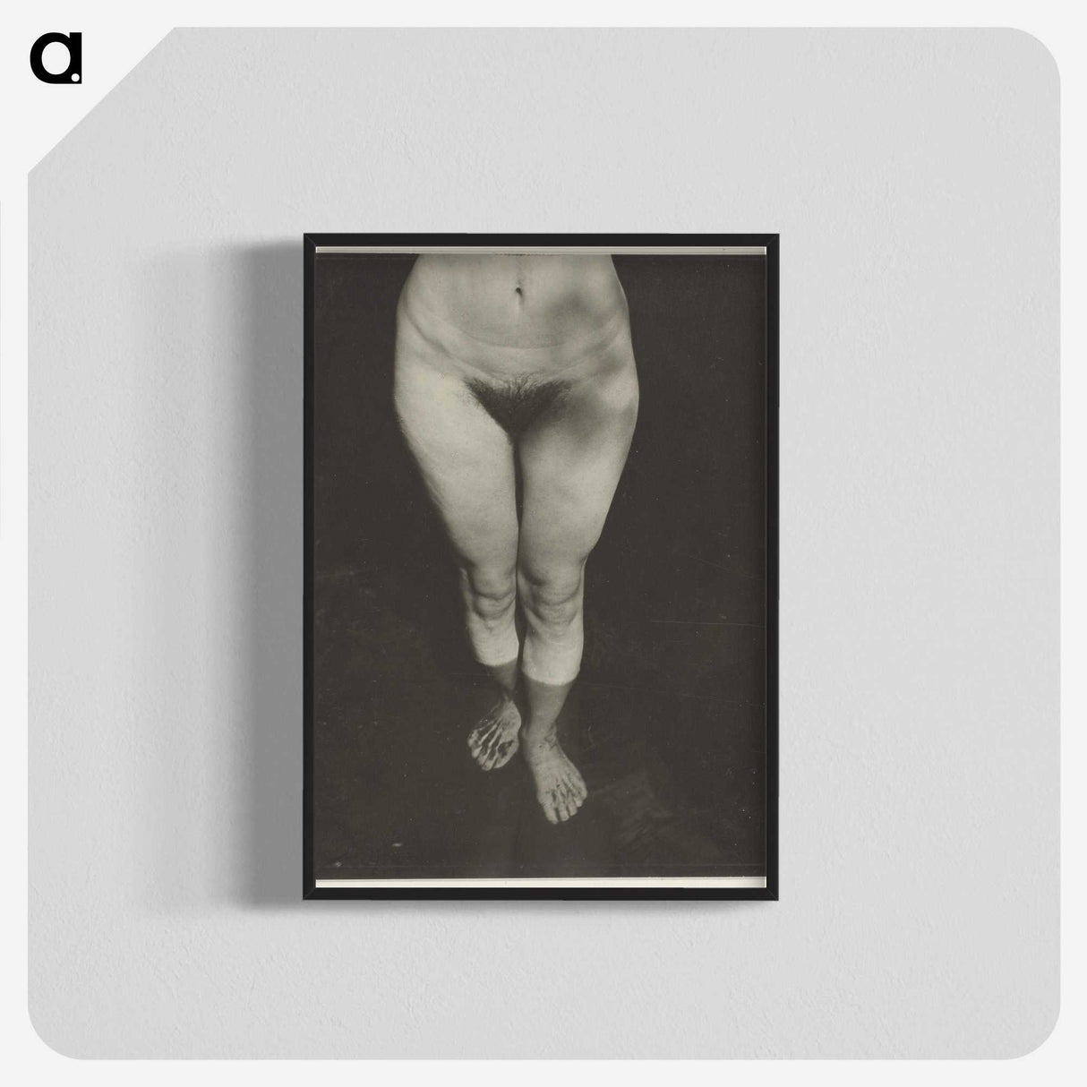 1-90_Alfred-Stieglitz_blk-crop