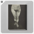 1-90_Alfred-Stieglitz_canvas