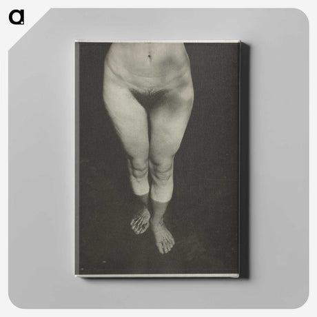 1-90_Alfred-Stieglitz_canvas