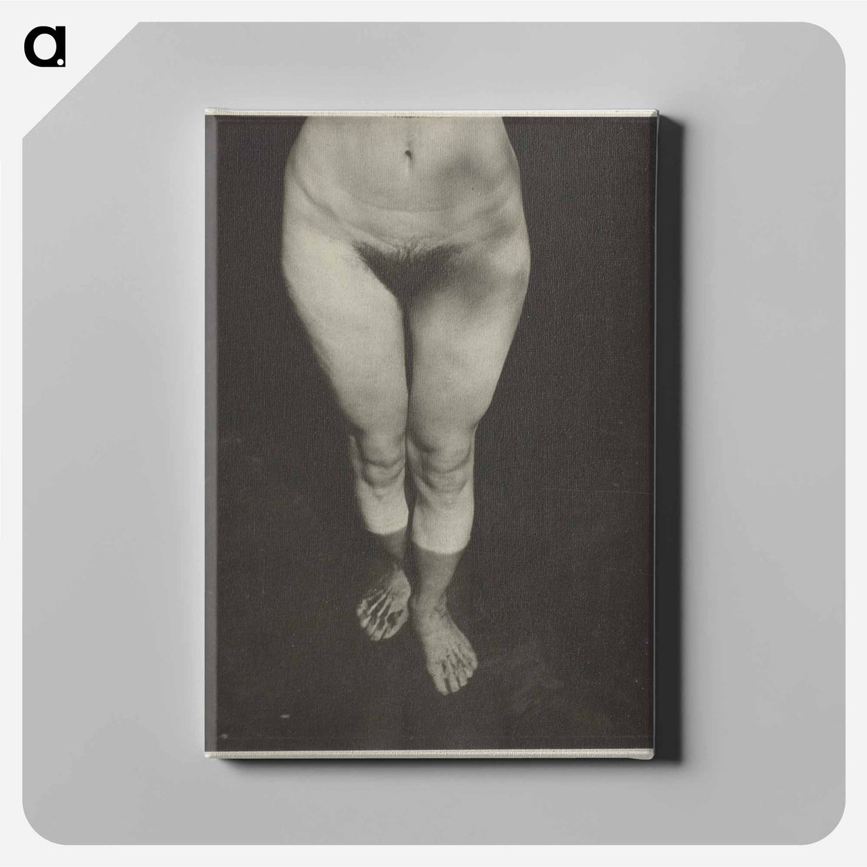 Rebecca Salsbury Strand - アルフレッド スティーグリッツ Canvas.