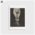 アートポストカード-Rebecca Salsbury Strand - アルフレッド スティーグリッツ Postcard.