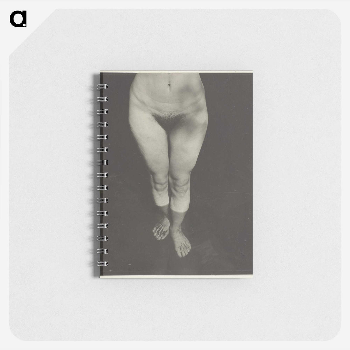 1-90_Alfred-Stieglitz_memo